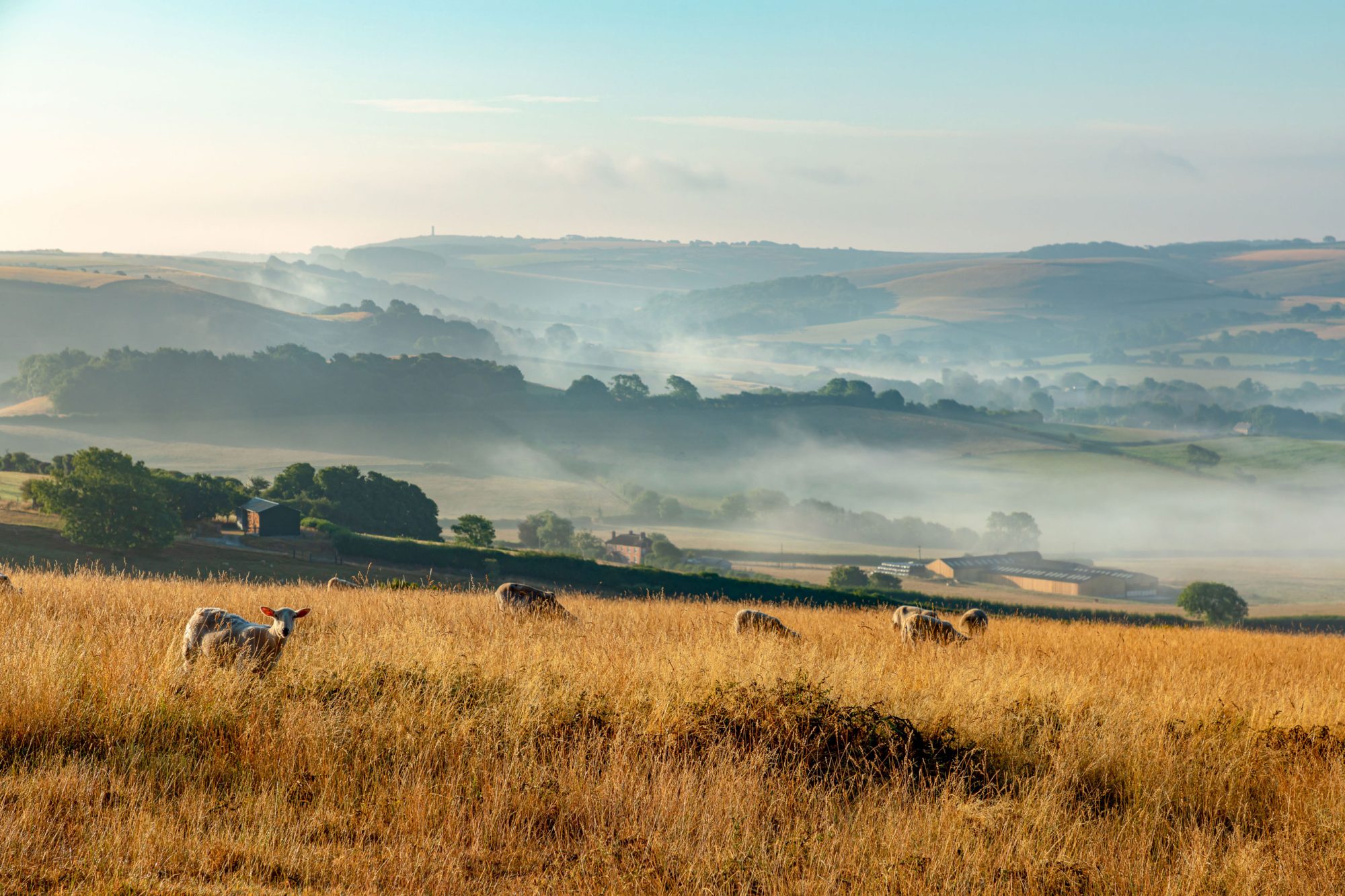 A couple buying a second home in the country