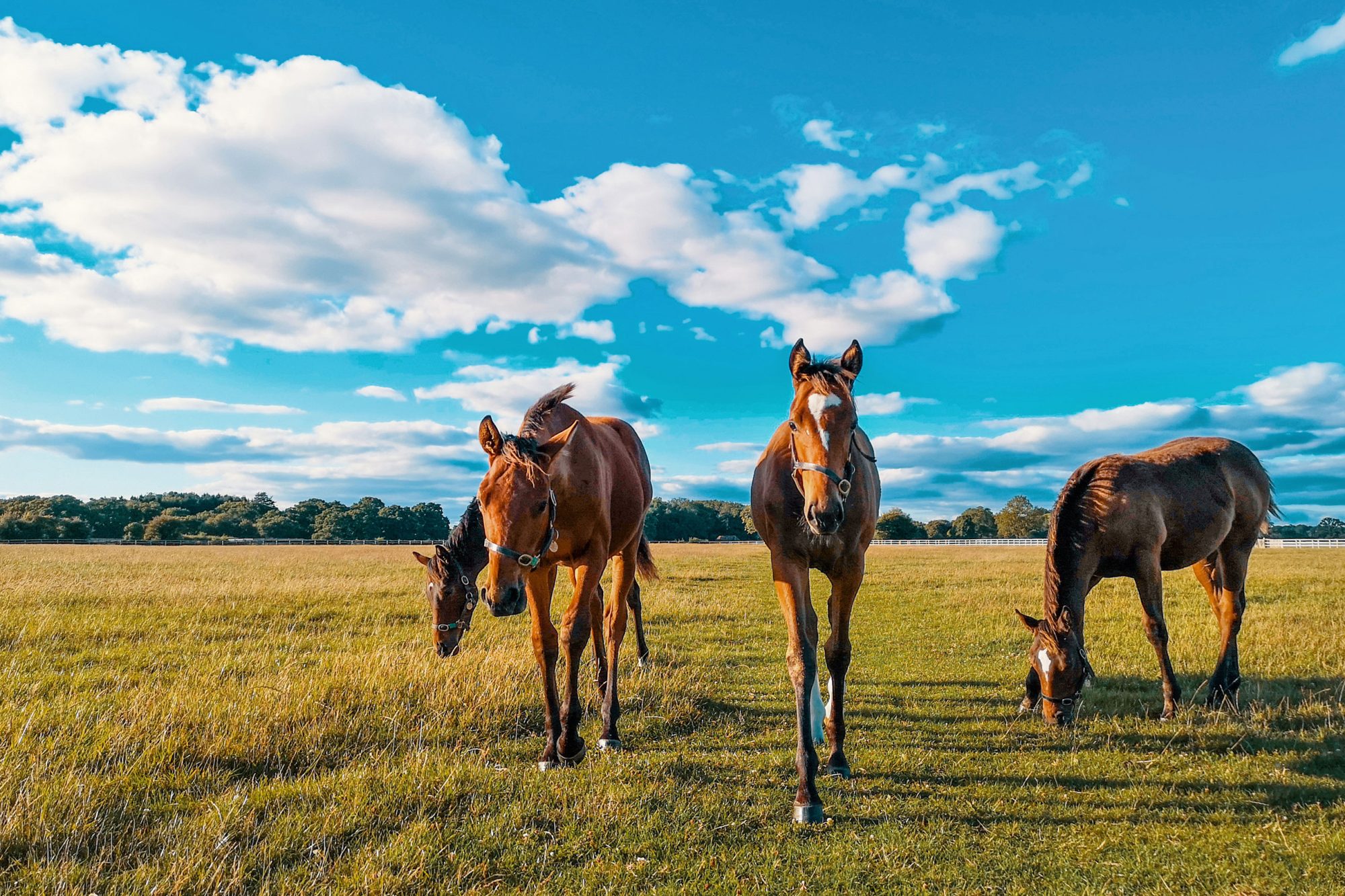 Moving to a rural location near Berkhamsted
