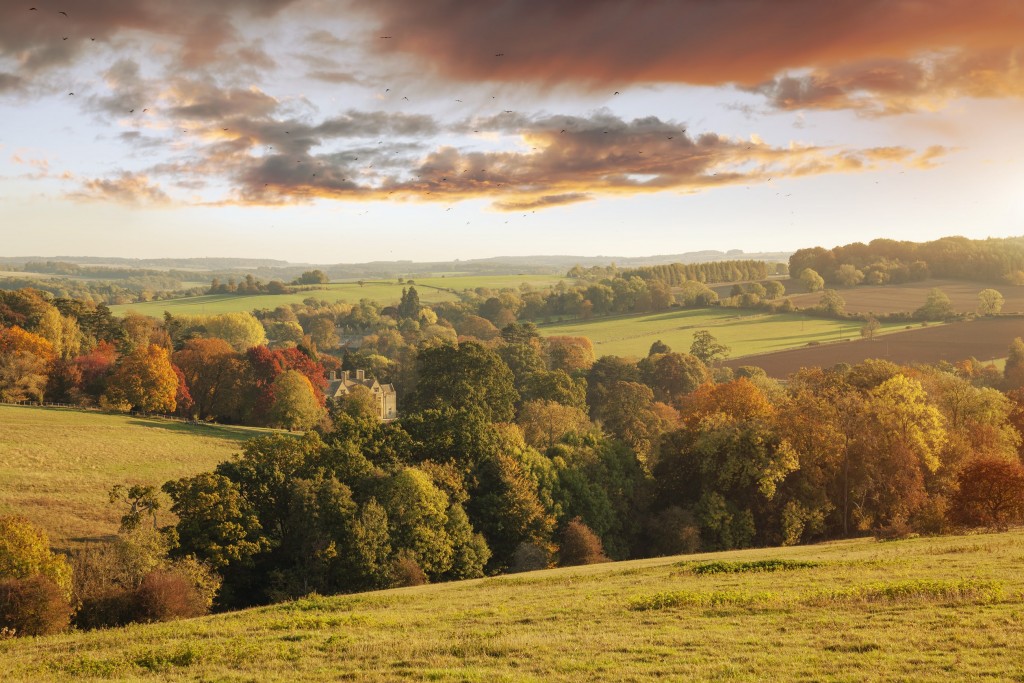 Rutland Farm & Equestrian Stacks Property Search and Acquisition