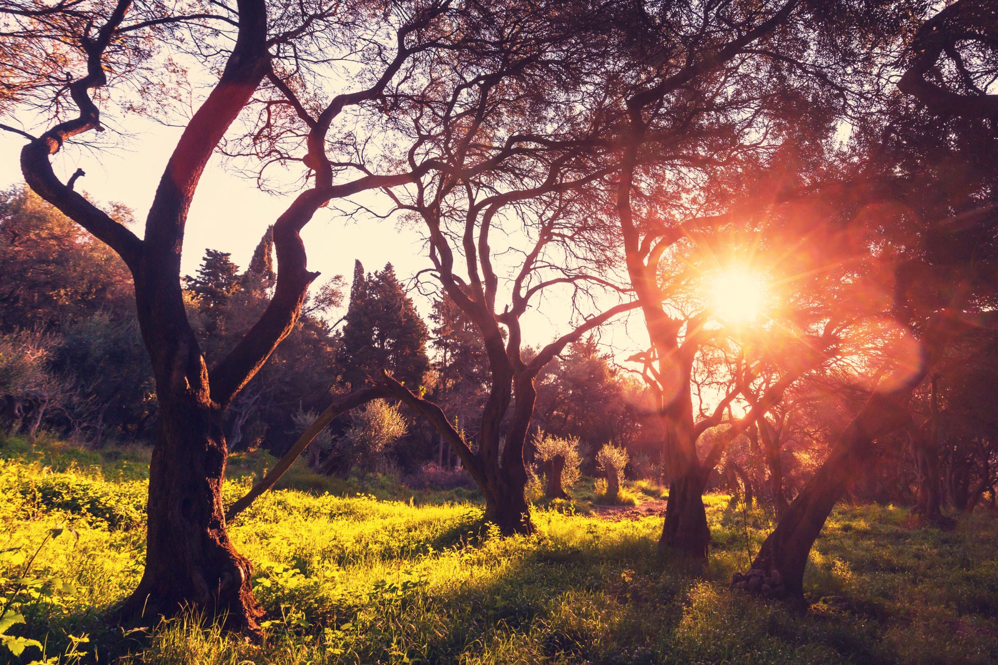 A family moving back to the UK