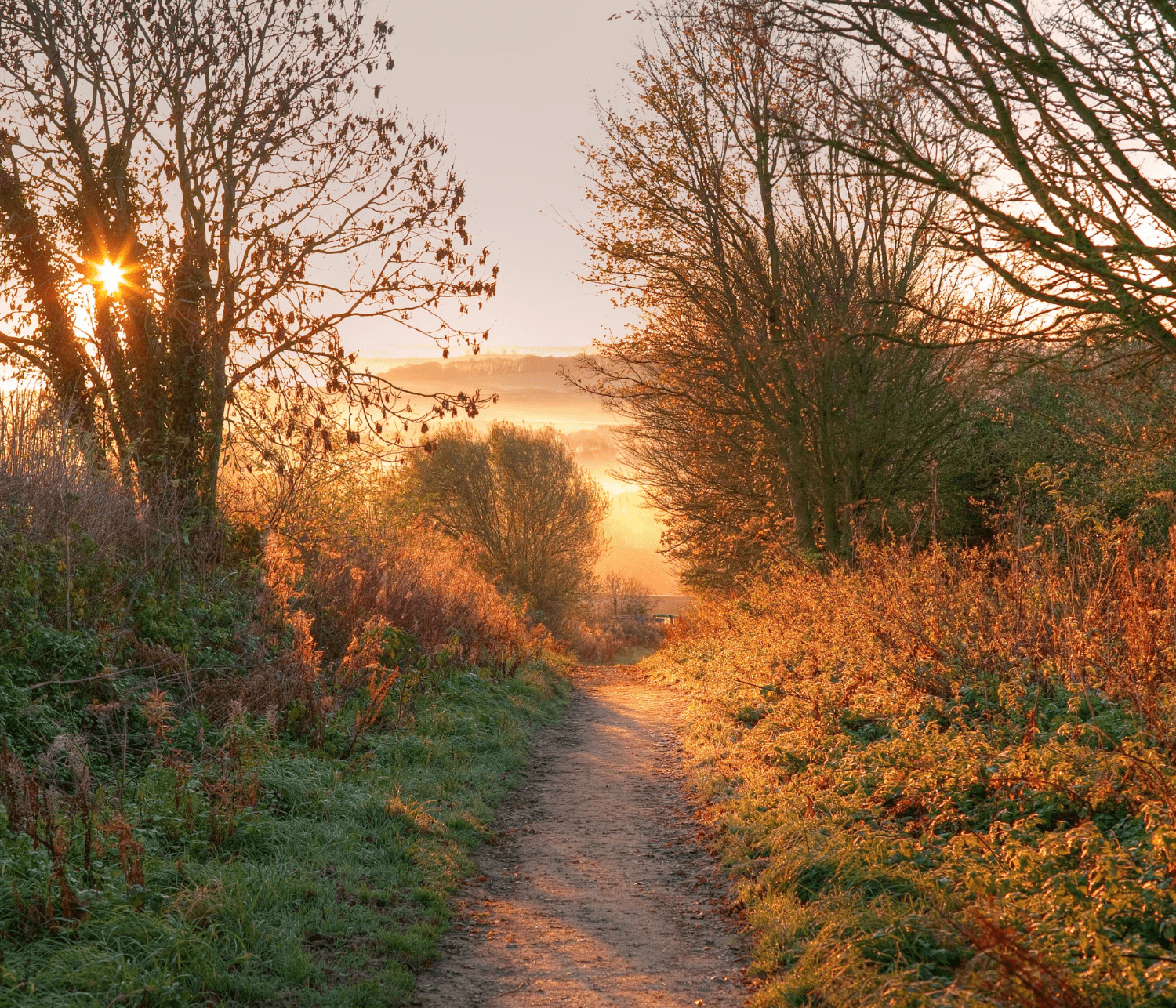 Cotswolds Stacks Buying Agents